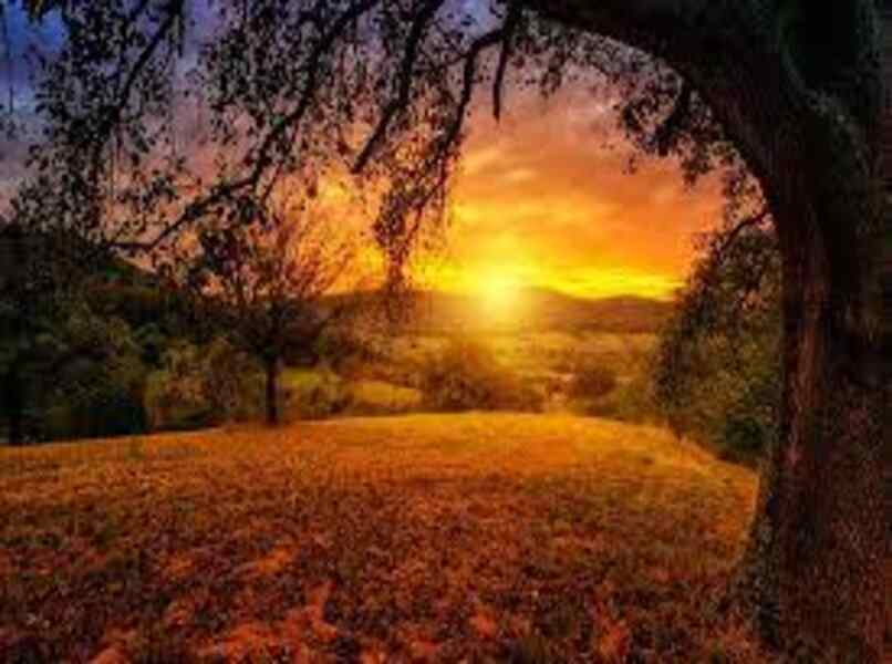 conoce los materiales que debes usar para tomar buenas fotos