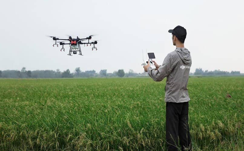 persona usando dron en el campo