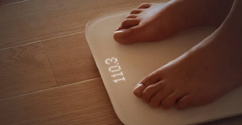 bascula xiaomi caracteristica